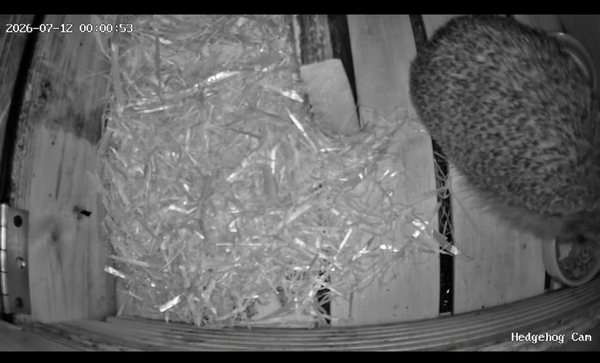 Night Thirteen… The Empty Bowl Mystery 🦔😂